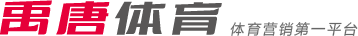 核心球员